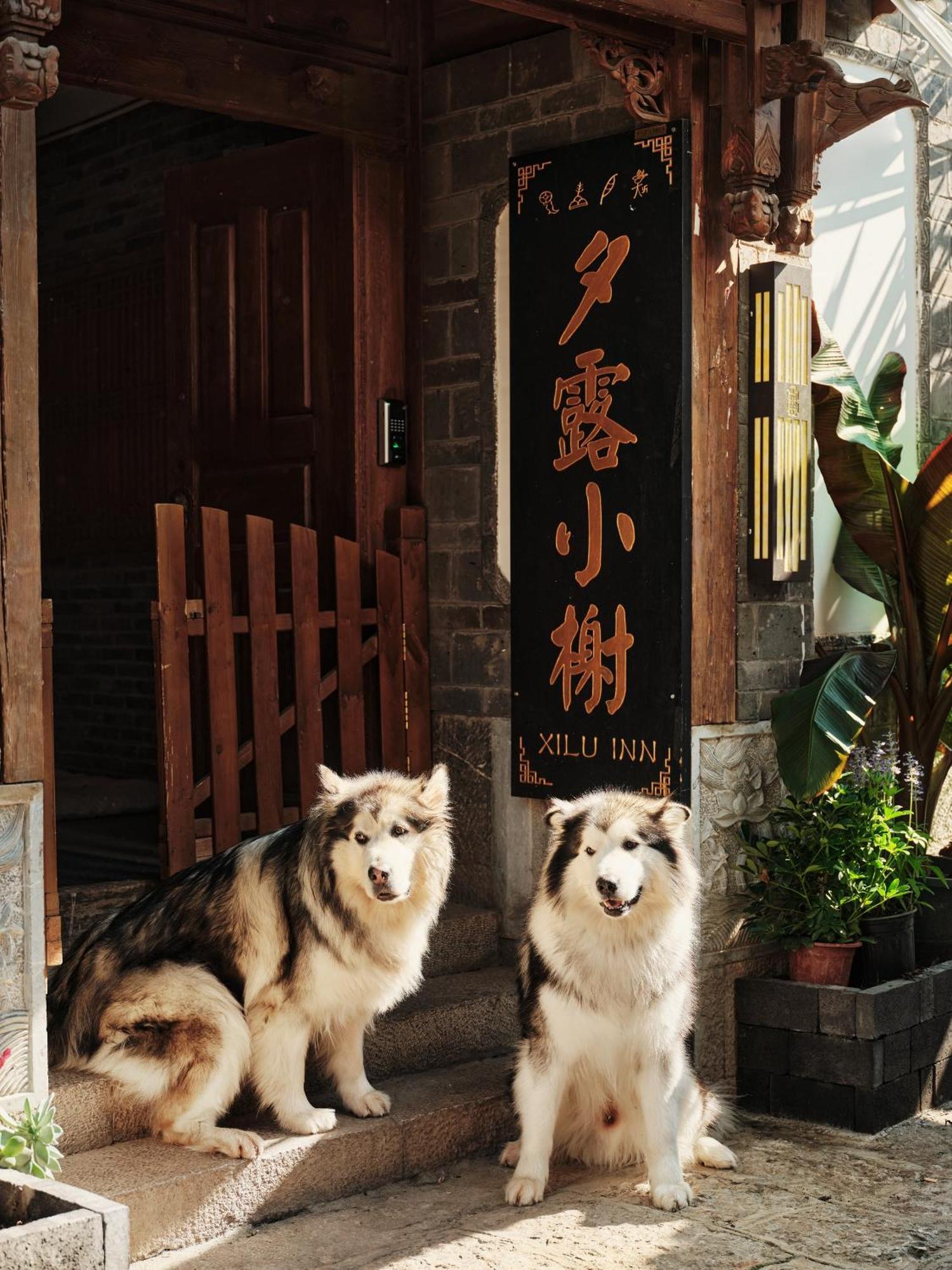 Xilu Xiaoxie Inn Old Town Lijiang Lijiang  Zewnętrze zdjęcie