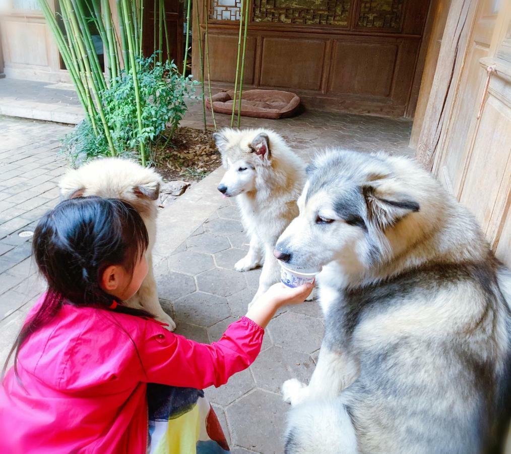 Xilu Xiaoxie Inn Old Town Lijiang Lijiang  Zewnętrze zdjęcie